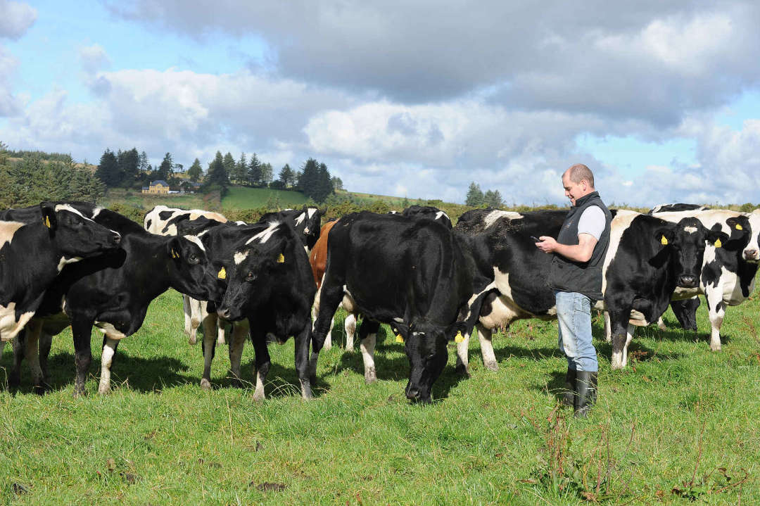 Herd Management App For Dairy Farmers | Herdwatch